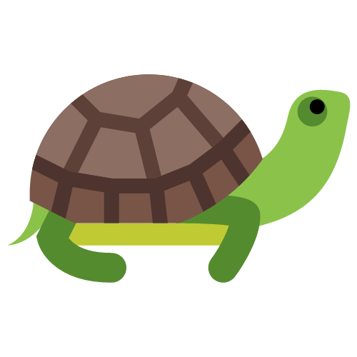 turtle